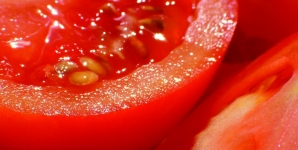 Ensaladas especiales de mayo